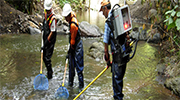 Environmental Services